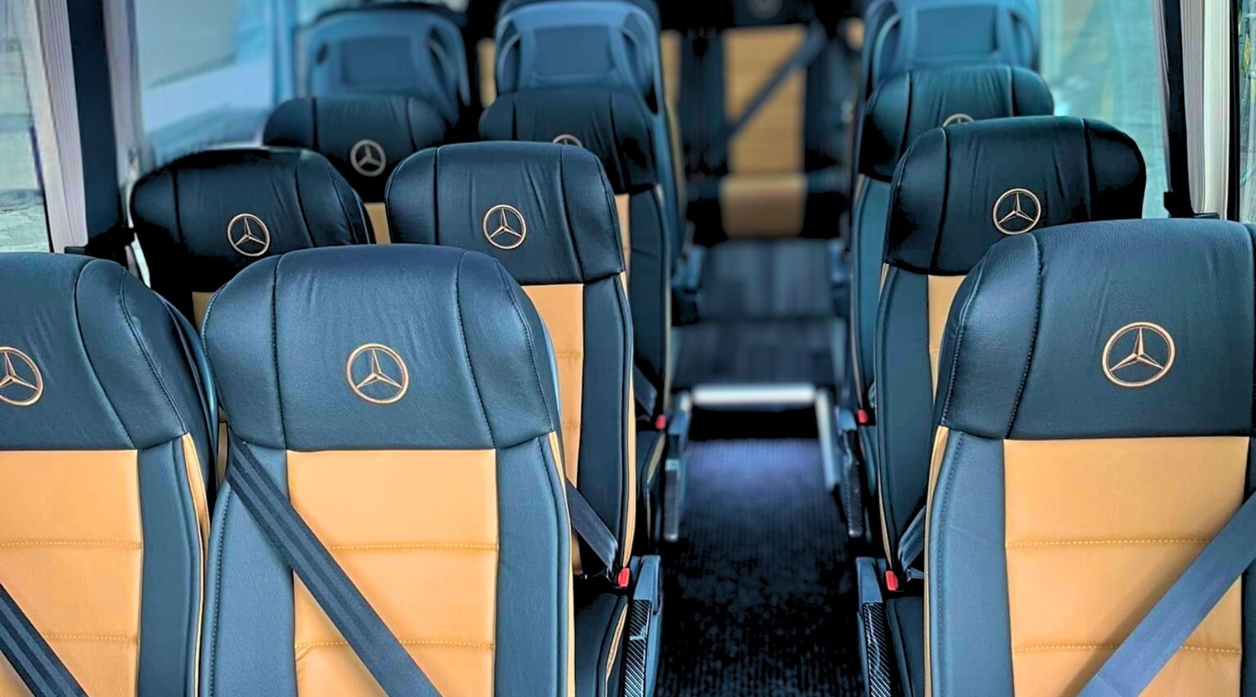 Modern School Minibuses with Seatbelts